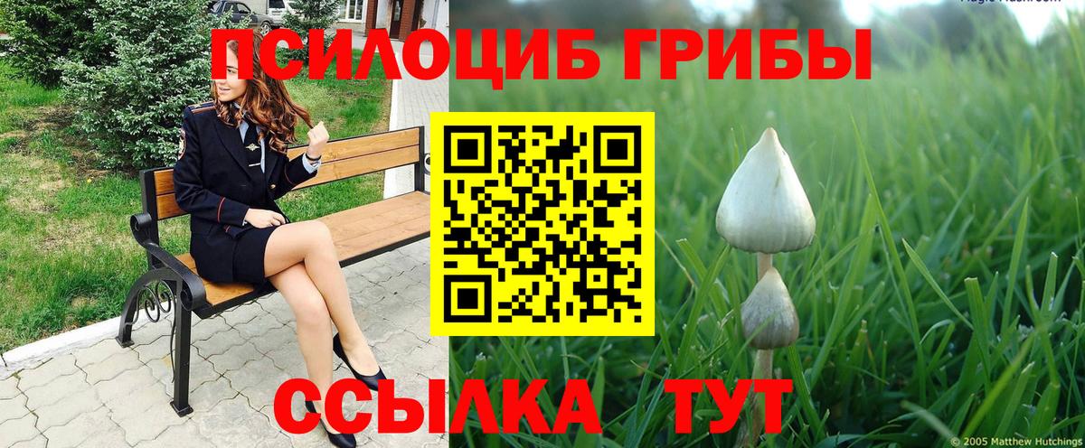 Усолье-Сибирское  Псилоцибиновые грибы Psilocybine cubensis  Вход с VPN 